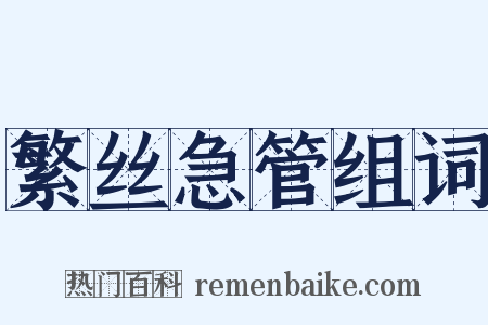 繁丝急管组词是什么意思的图片